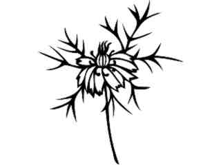  Flowers_ Love In A Mist_ 1 5 6_ V A 1 Decal Proportional
