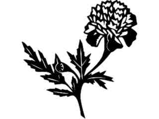  Flowers_ Marigold_ 1 5 6_ V A 1 Decal Proportional