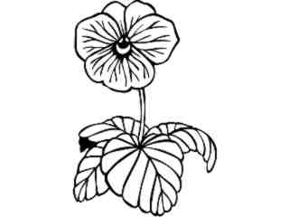  Flowers_ Pansy_ 1 5 9_ V A 1 Decal Proportional