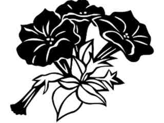  Flowers_ Petunias_ 1 5 5_ V A 1 Decal Proportional