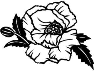  Flowers_ Poppy_ 1 5 5_ V A 1 Decal Proportional