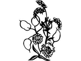  Flowers_ Strawflowers_ 1 5 5_ V A 1 Decal Proportional