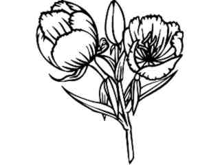 Flowers_ Sundrop_ 1 5 9_ V A 1 Decal Proportional