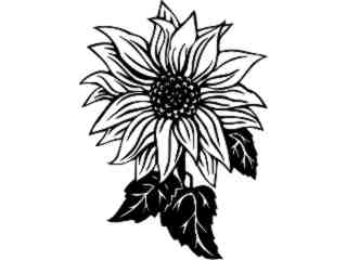  Flowers_ Sunflower_ 1 5 5_ V A 1 Decal Proportional