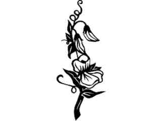  Flowers_ Sweet Pea_ 1 5 6_ V A 1 Decal Proportional