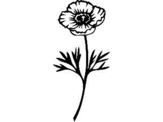  Flowers_ Tulip Poppy_ 1 5 6_ V A 1 Decal Proportional