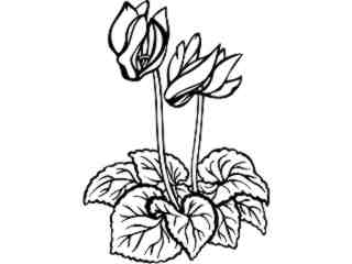  Flowers_ Violets_ 1 5 9_ V A 1 Decal Proportional