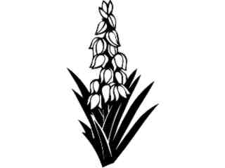  Flowers_ Yucca_ 1 5 5_ V A 1 Decal Proportional