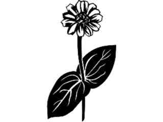 Flowers_ Zinnia_ 1 5 6_ V A 1 Decal Proportional