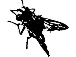  Fly Rough Decal Proportional