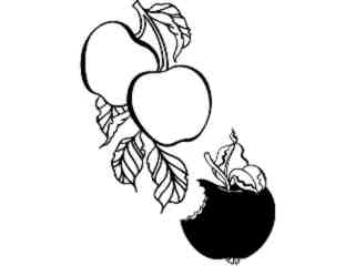  Food_ Apples 2_ 1 6 3_ V A 1 Decal Proportional