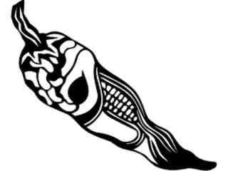  Food_ Chili Pepper_ 1 6 4_ V A 1 Decal Proportional