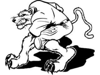  Football Wild Cat 1_ M B 1 Decal Proportional