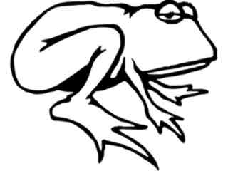  Frog Bummer Decal Proportional