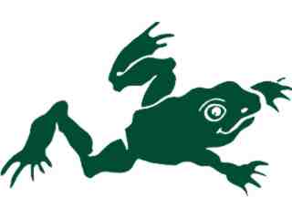  Frog Leap Decal Proportional