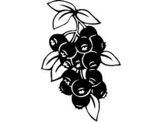  Fruits Vegtables_ Blueberries_ 1 6 0_ V A 1 Decal Proportional
