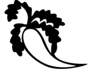  Fruits Vegtables_ Carrot_ 1 6 2_ V A 1 Decal Proportional