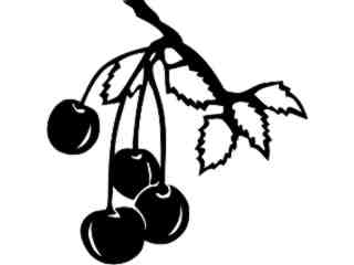  Fruits Vegtables_ Cherries_ 1 6 1_ V A 1 Decal Proportional