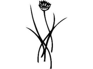  Fruits Vegtables_ Chives_ 1 6 1_ V A 1 Decal Proportional