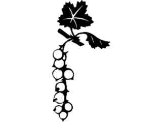  Fruits Vegtables_ Currants_ 1 6 1_ V A 1 Decal Proportional