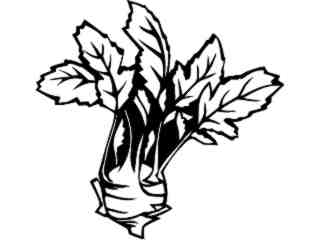  Fruits Vegtables_ Kohlrabi_ 1 6 1_ V A 1 Decal Proportional