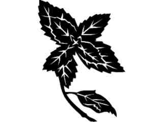  Fruits Vegtables_ Mint_ 1 6 1_ V A 1 Decal Proportional