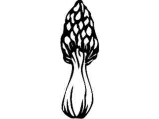  Fruits Vegtables_ Morel Mushroom_ 1 6 1_ V A 1 Decal Proportional