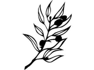  Fruits Vegtables_ Olives_ 1 6 1_ V A 1 Decal Proportional