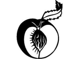  Fruits Vegtables_ Peach_ 1 6 1_ V A 1 Decal Proportional