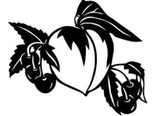  Fruits Vegtables_ Peaches And Cherries_ 1 6 0_ V A 1 Decal Proportional