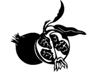  Fruits Vegtables_ Pomegranate_ 1 6 1_ V A 1 Decal Proportional