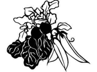  Fruits Vegtables_ Radish And Peas_ 1 6 0_ V A 1 Decal Proportional