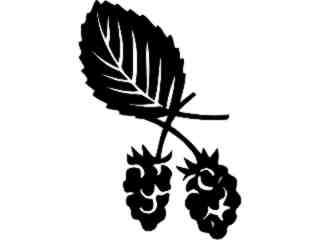  Fruits Vegtables_ Raspberries_ 1 6 1_ V A 1 Decal Proportional