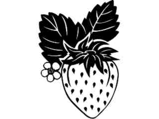  Fruits Vegtables_ Strawberry_ 1 6 0_ V A 1 Decal Proportional