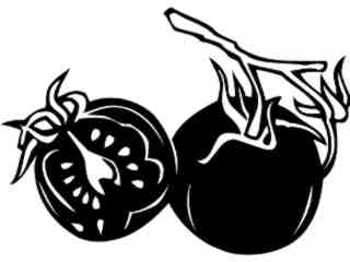  Fruits Vegtables_ Tomato_ 1 6 1_ V A 1 Decal Proportional