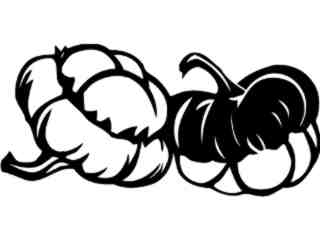  Fruits Vegtables_ Turban Squash_ 1 6 1_ V A 1 Decal Proportional