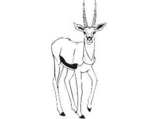  Gazelle_ 1 4 5_ V A 1 Decal Proportional