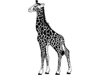  Giraffe_ 1 4 5_ V A 1 Decal Proportional