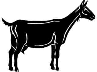  Goat_ 1 3 9_ V A 1 Decal Proportional