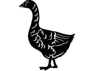 Goose_ 1 3 9_ V A 1 Decal Proportional