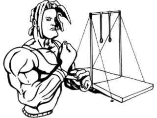  Gymnastics 2_ M B 1 Decal Proportional