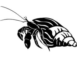  Hermit Crab_ 1 4 0_ V A 1 Decal Proportional