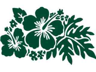  Hibiscus 2 Decal Proportional