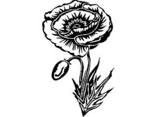  Holidays_ Memorial Day Poppy_ 1 6 7_ V A 1 Decal Proportional