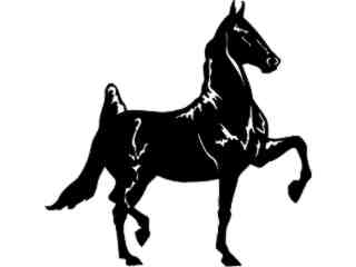  Horse American Saddle_ 1 4 3_ V A 1 Decal Proportional