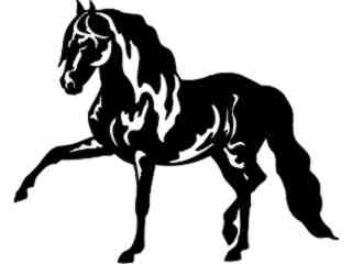 Horse Andalusian_ 1 4 3_ V A 1 Decal Proportional