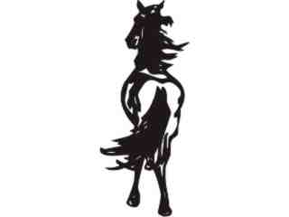  Horse Beauty 0 2 Decal Proportional