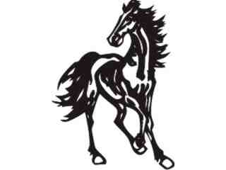  Horse Beauty 0 3 Decal Proportional