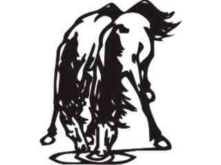  Horse Beauty 0 4 Decal Proportional