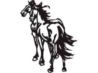  Horse Beauty 0 5 Decal Proportional